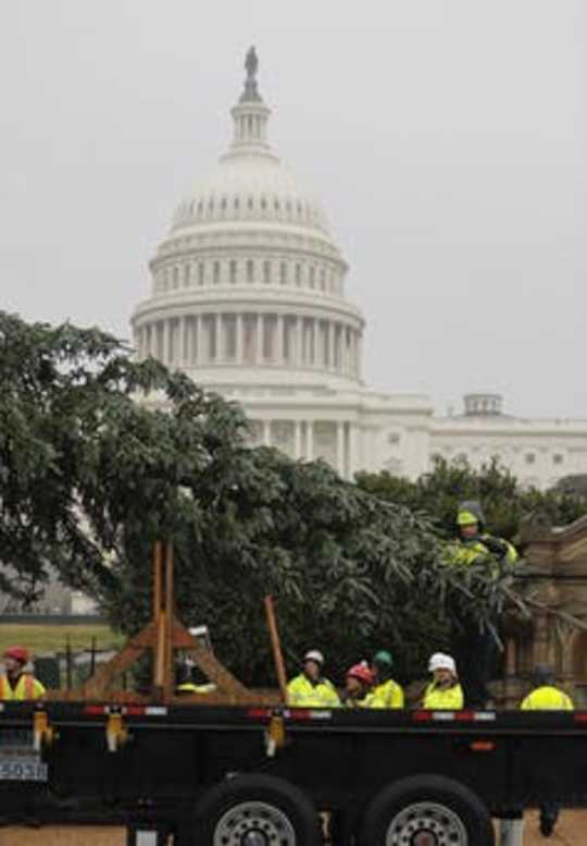 Why Christmas Tree Shopping Is Harder Than Ever