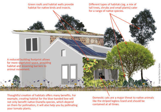 How To Design Cities Where People And Nature Can Both Flourish