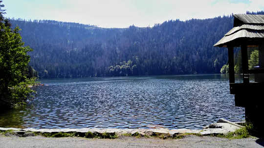 Black Lake in the Czech Republic was the site of a Soviet-era disinformation campaign