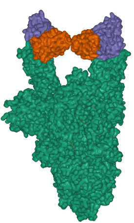 9 Reasons You Can Be Optimistic That A Vaccine For Covid-19 Will Be Widely Available In 2021