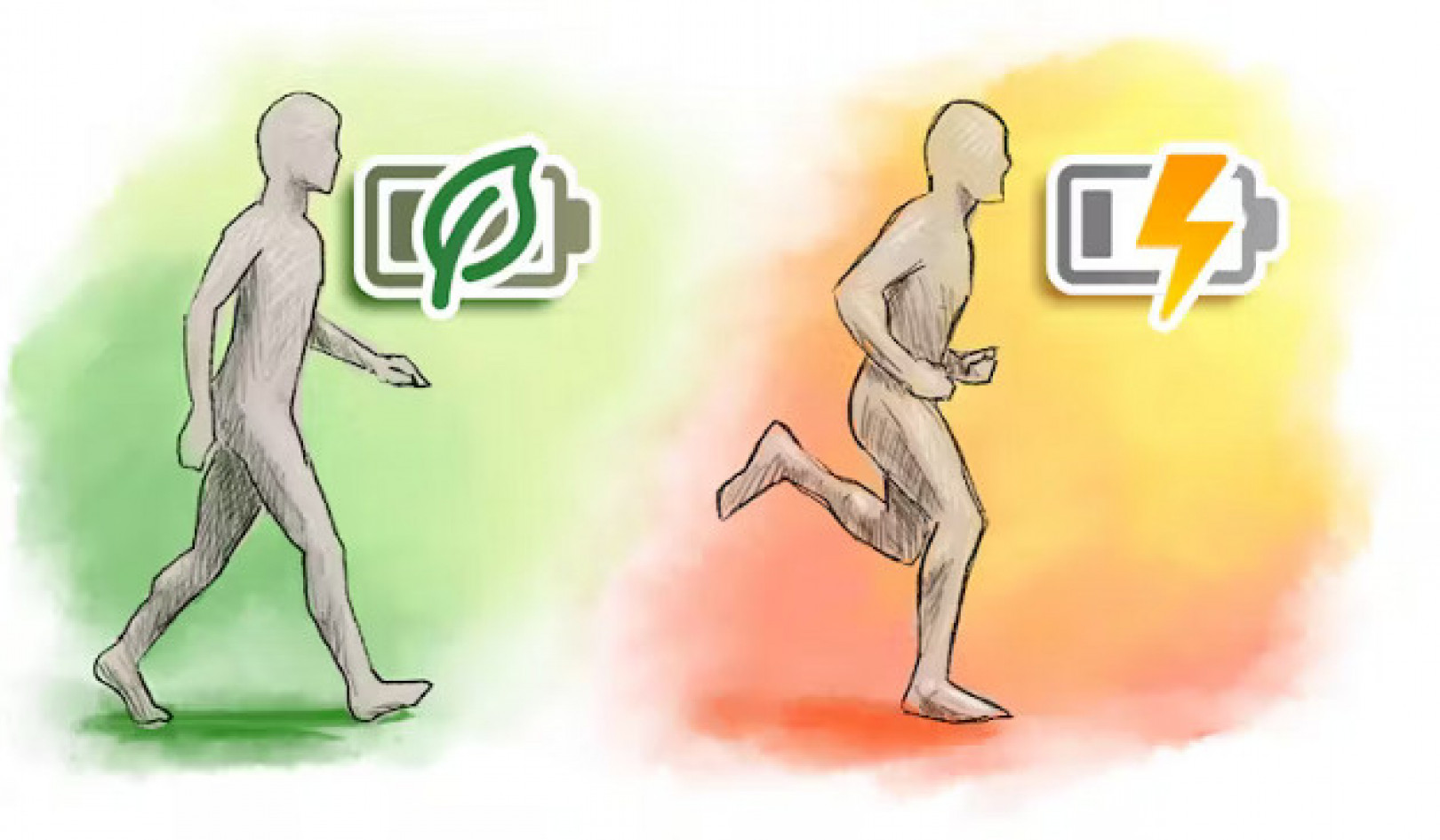 Walking vs Running: Which Consumes More Energy?