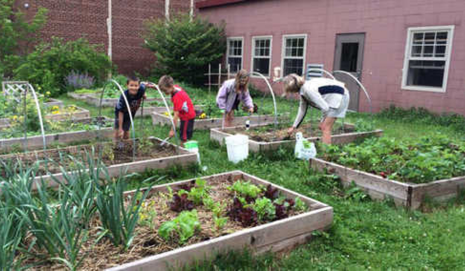 How School Gardens Reconnect Kids With Food