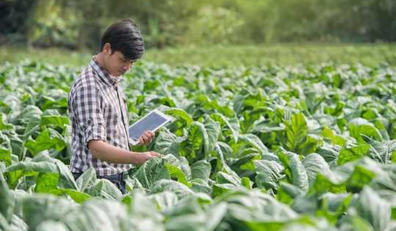 3 Ways Farms Of The Future Can Feed The Planet And Heal It Too