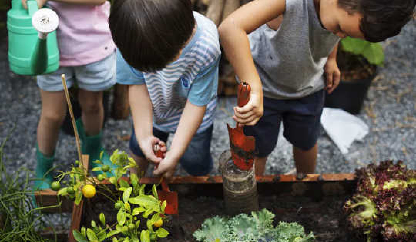 Why Schools Should Embrace Outdoor Education