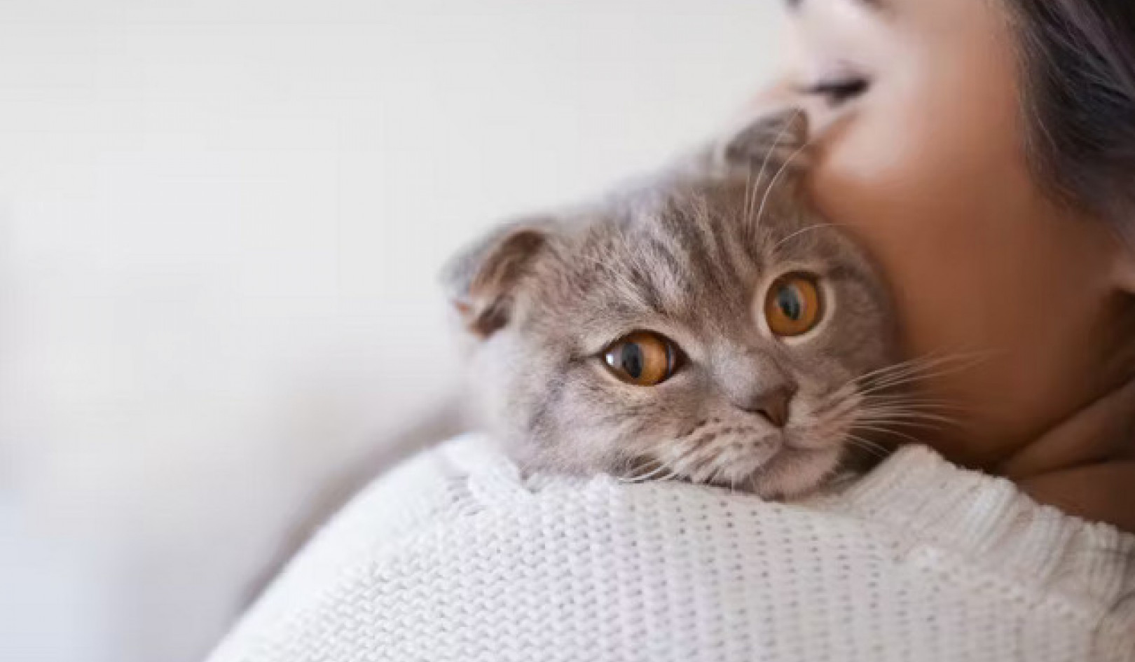Why Cats Meow at Humans More Than Each Other