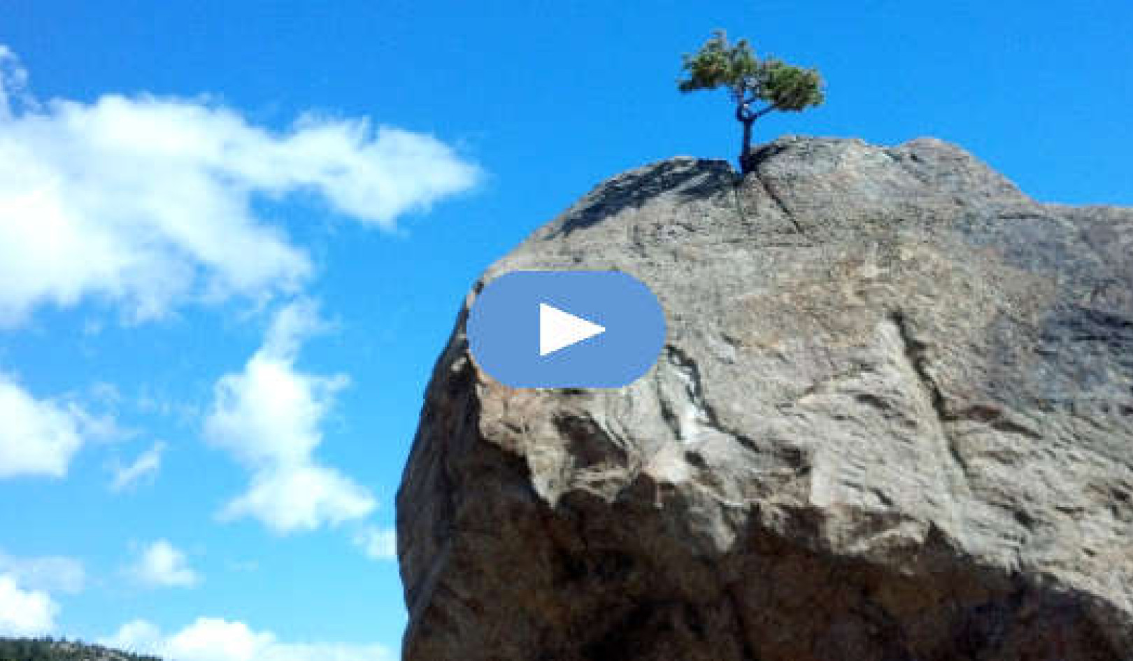 Never, Ever Give Up: Having the Courage to Start Over Again (Video)