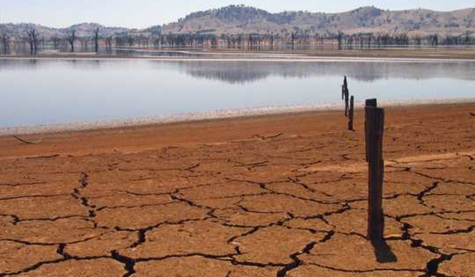 The Lessons We Need To Learn To Deal With The Creeping Disaster Of Drought