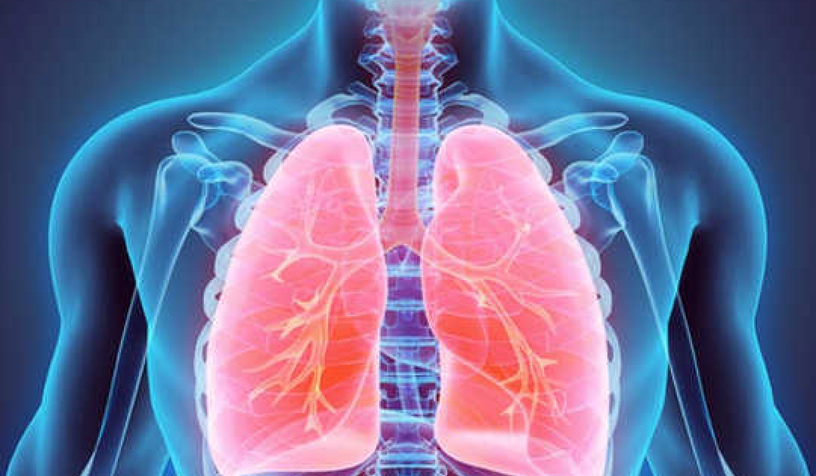 How Your Lungs Are Really Amazing