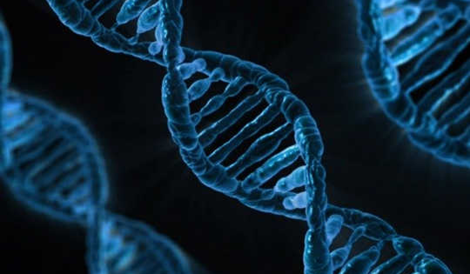 How Much Do Our Genes Restrict Free Will?
