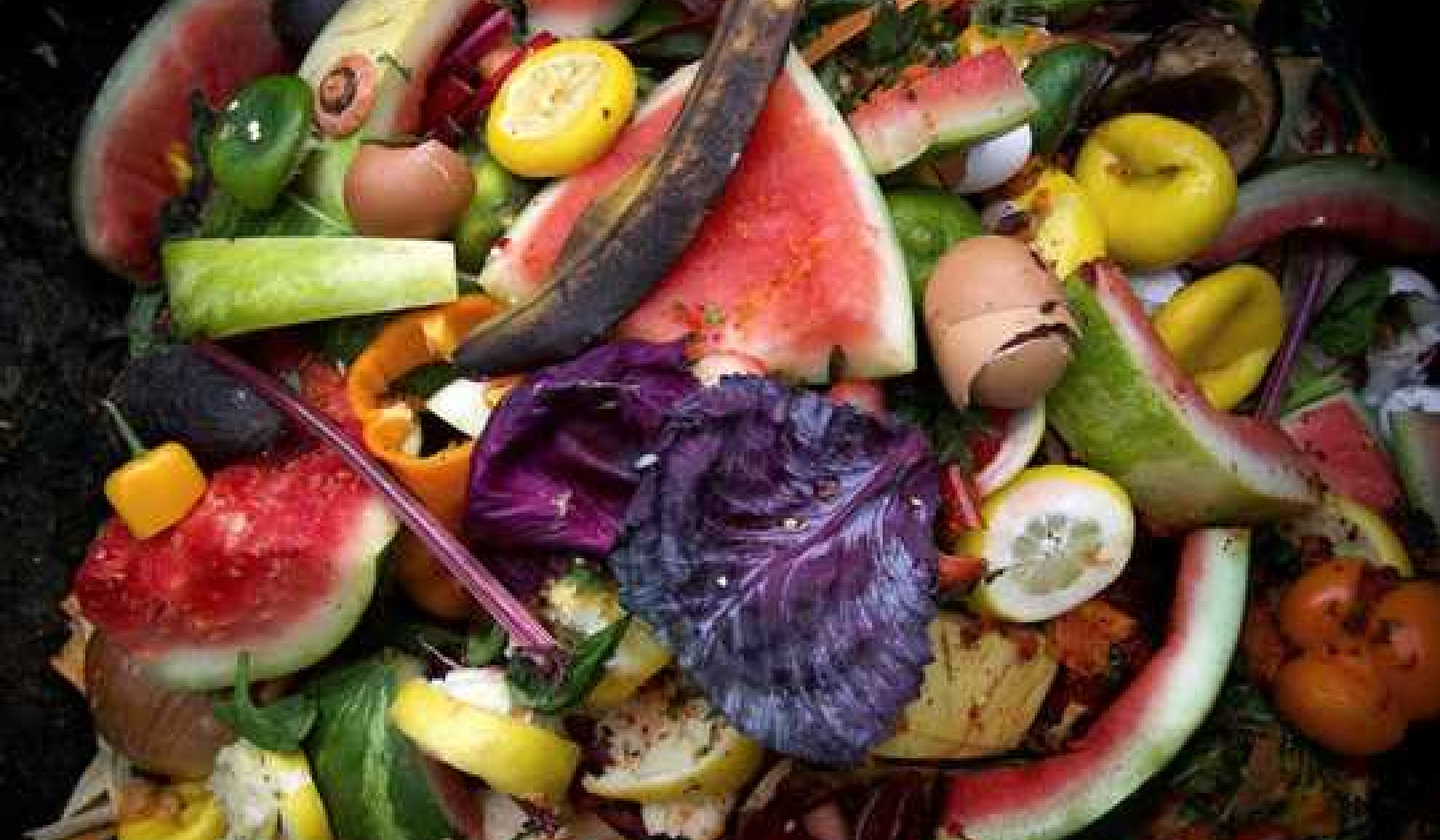 Reduce Your Food Waste To Save Money, Boost Health and Reduce Carbon Emissions