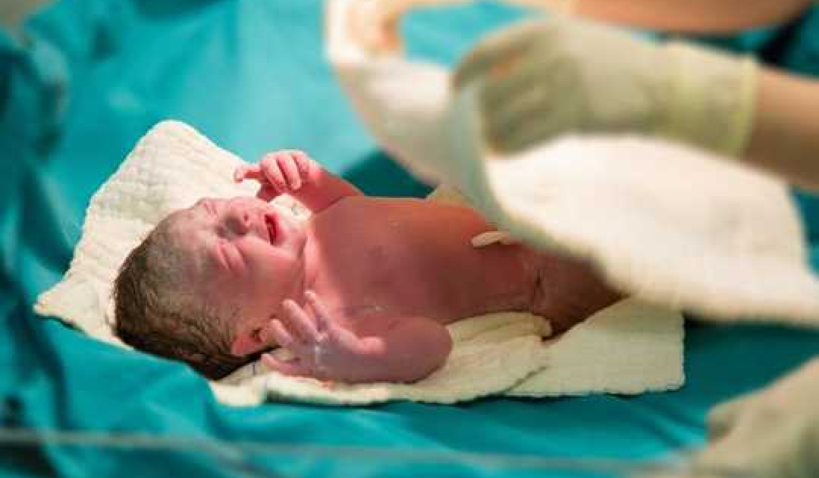 The Womb Isn't Sterile – Healthy Babies Are Born With Bacteria and Fungi In Their Guts