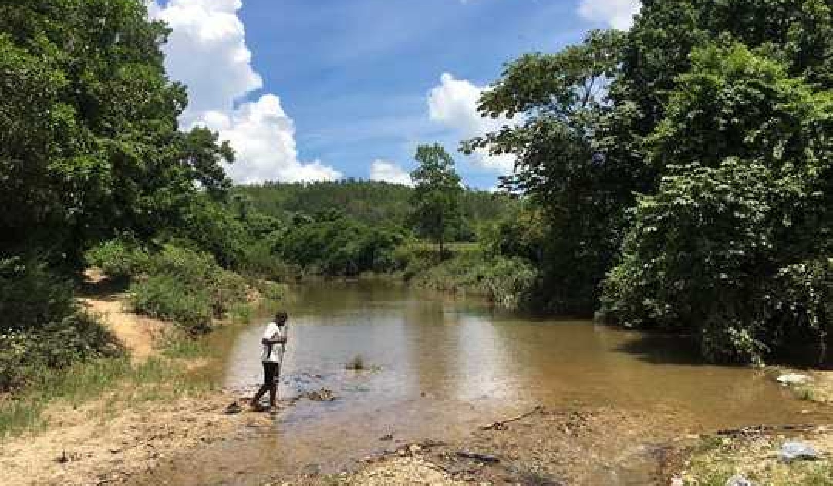 Cuba's Clean Rivers Show The Benefits Of Reducing Nutrient Pollution