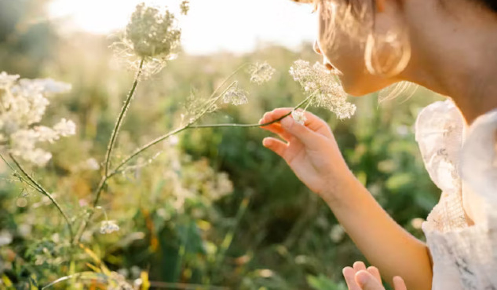 How Nature's Diversity Can Boost Your Mental Wellbeing